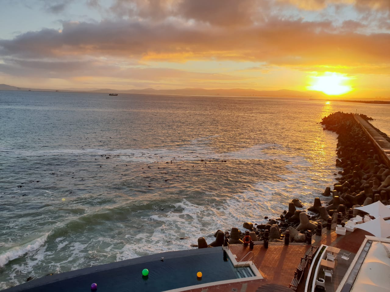 WhatsApp Image 2021-04-26 at 2.18.24 PM